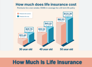 How Much Is Life Insurance