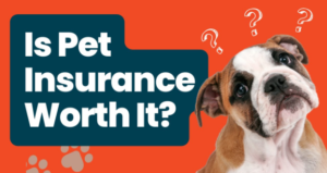 Is Pet Insurance Worth It